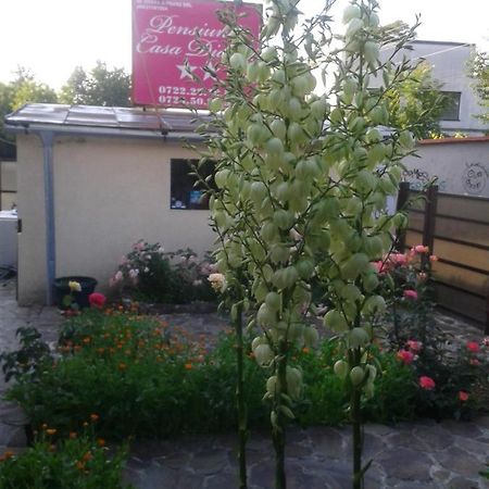 Pensiunea Casa Didina Бакэу Экстерьер фото