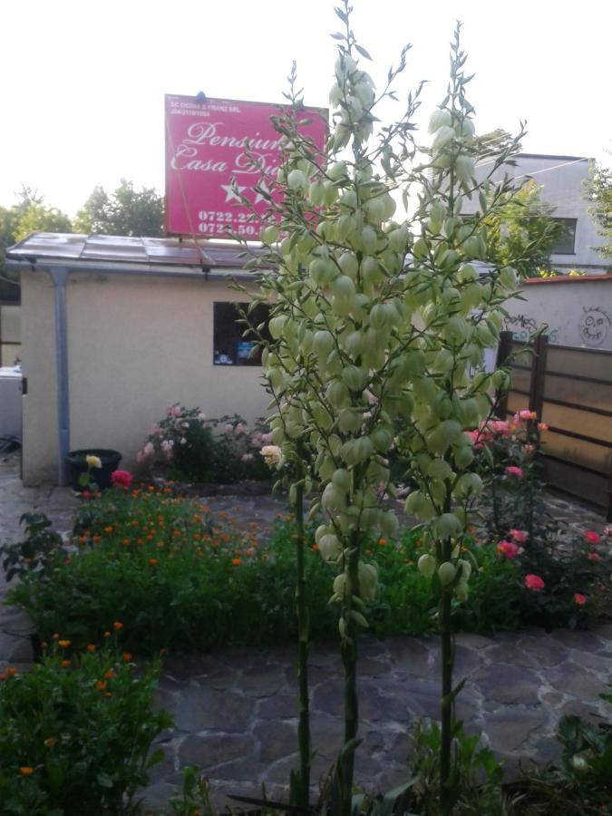 Pensiunea Casa Didina Бакэу Экстерьер фото